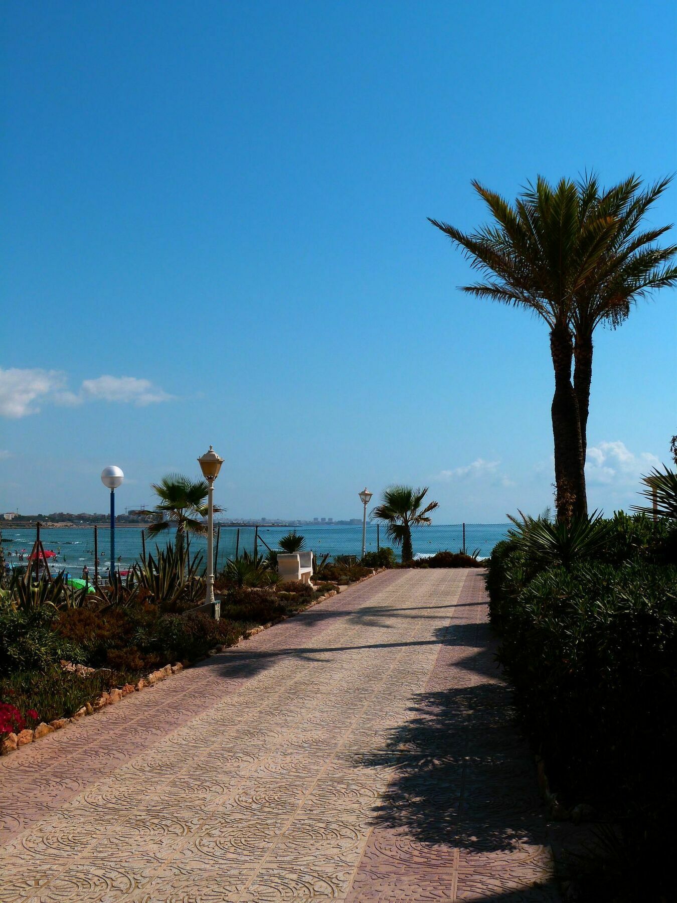 Shoal Apartamentos أوريويلا المظهر الخارجي الصورة